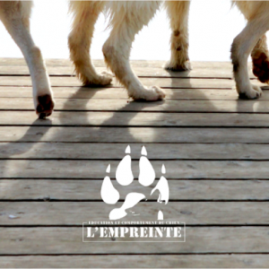 cropped-empreinte-1.png cropped-empreinte-1.png