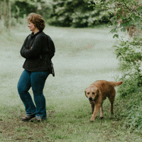 promenade-chiens-91-lempreinte promenade-chiens-91-lempreinte