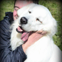 éducateur-canin-lempreinte-éducation-canine éducateur-canin-lempreinte-éducation-canine