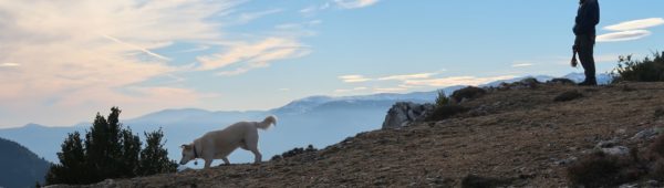 Empreinte-equipe-chien-theo-laura Empreinte-equipe-chien-theo-laura