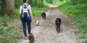 educateur-canin-magalie-lanchais educateur-canin-magalie-lanchais
