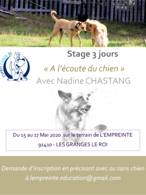 stage 3 jours affiche stage 3 jours affiche