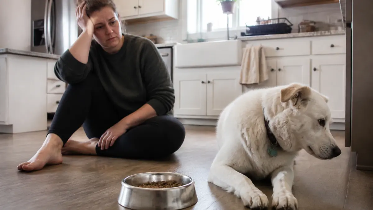 Mon chien ne mange plus : causes possibles et signes qui doivent alerter