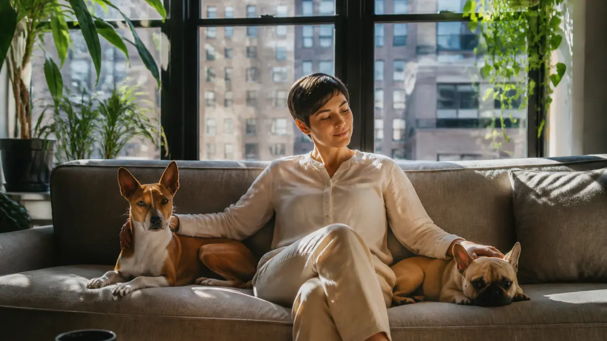 Chien d’appartement qui n’aboie pas : quelles races choisir sans se tromper ?