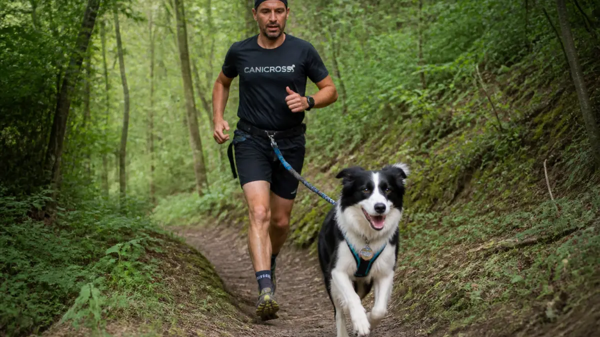 Canicross chien : âge, races adaptées et précautions avant de commencer