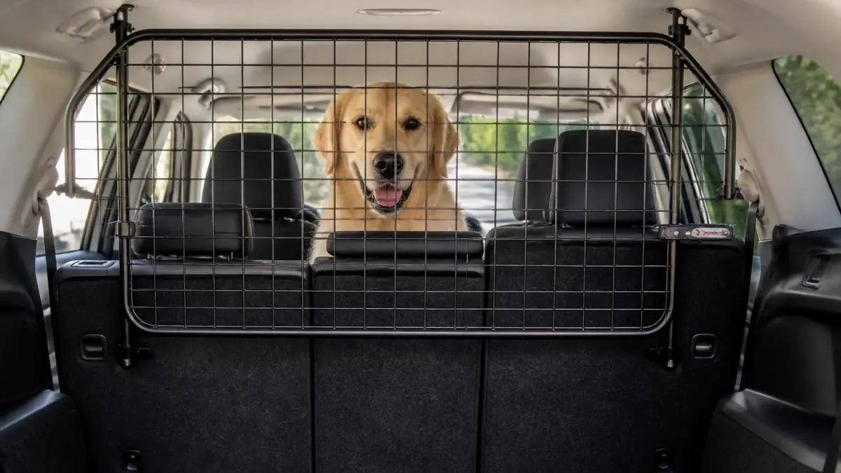 Barrière pour chien en voiture : coffre, banquette, SUV, que choisir ?