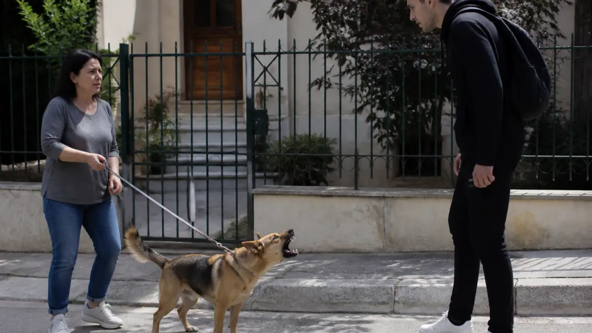 Mon chien aboie sur les gens : comprendre le déclencheur et réagir