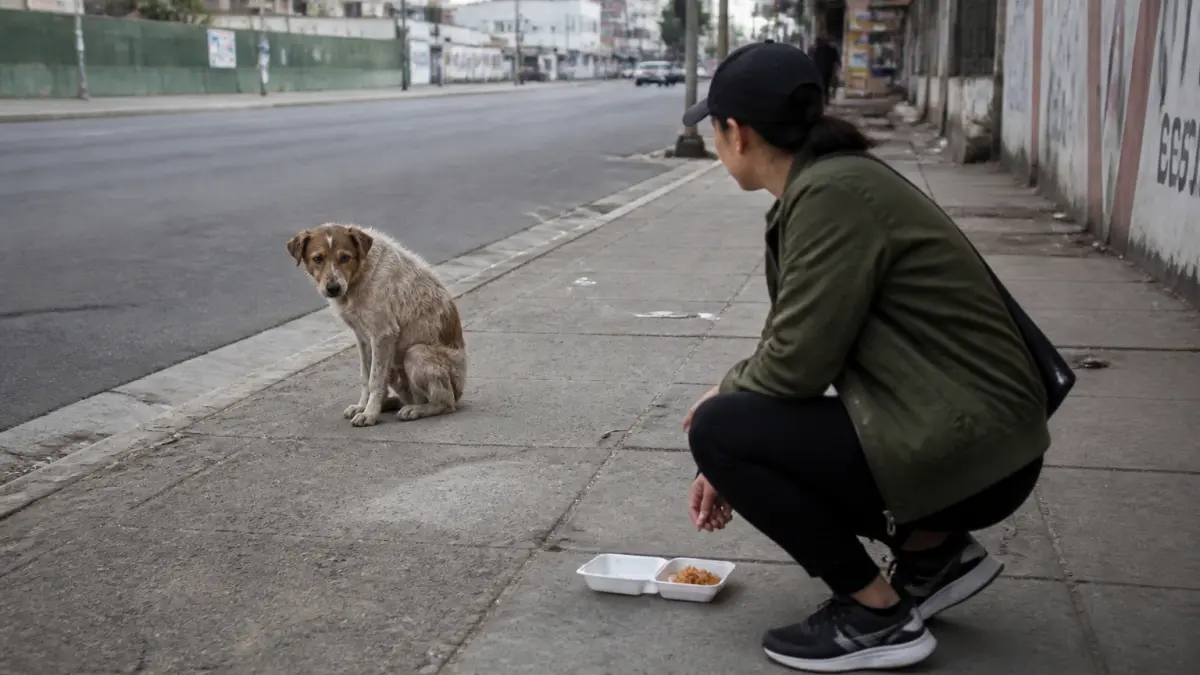 Chien abandonné : que faire et les bons réflexes à adopter