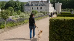 Visiter musées, châteaux et jardins avec son chien : est-ce possible ?