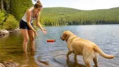 Activités aquatiques avec son chien : idées et conseils
