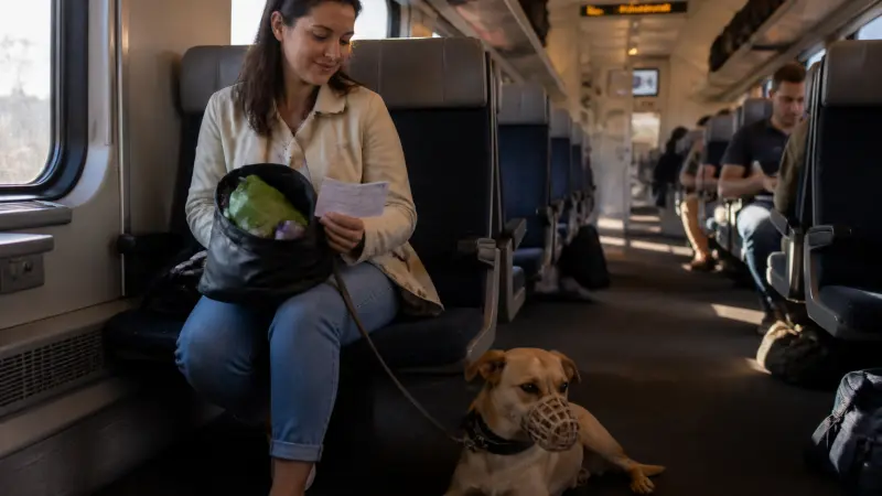 Voyager en train avec son chien : règles, billet et conseils